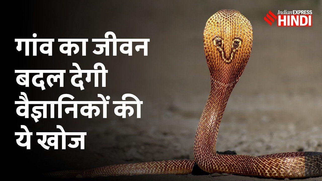 Video feature from Indian Express Hindi